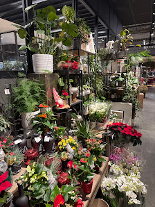 Blumen Gebr. Spangenberg Oberhausen