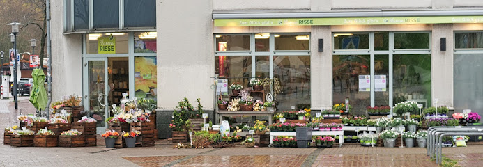 Blumen Risse Blumenladen Essen-Altenessen