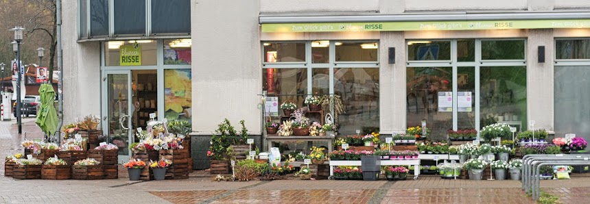 Blumen Risse Blumenladen Essen-Altenessen