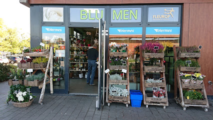 Blumen im Schweizer Viertel