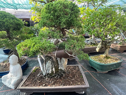 Bonsai Zentrum Wilfried Geßner