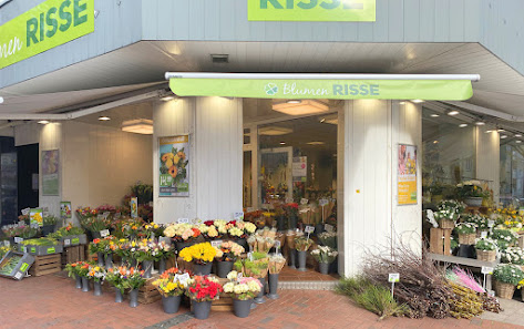 Blumen Risse Blumenladen Essen-Holsterhausen