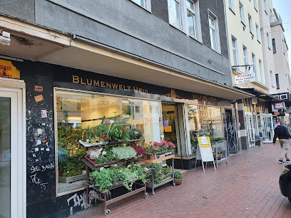 Blumenwelt - Ville de la Rosa Hüsseyin Urul
