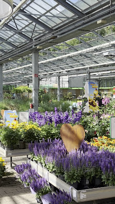 Gartencenter Augsburg GmbH & Co. KG