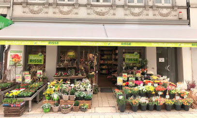 Blumen Risse Blumenladen Dortmund-Hombruch