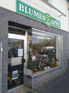 Blumen Zappe