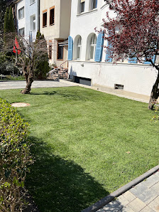 Strauch Garten und Landschaftsbau