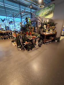 Blumen Wolframm Gmbh