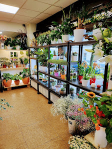 Vingster Blumenecke