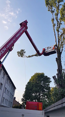 Gartenbau & Baumdienst Wöllner