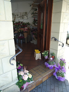 Blumen Iburg
