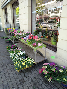 Blumen Iburg