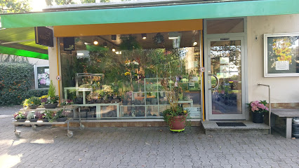 Gisela Roßkopf Blumen + Gartenbau