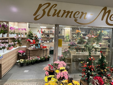 A+A Blumen Meister GmbH