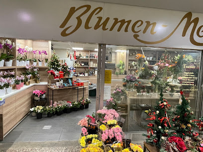 A+A Blumen Meister GmbH