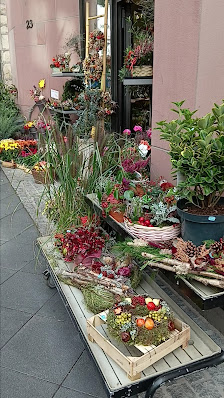 Blumen am Dom
