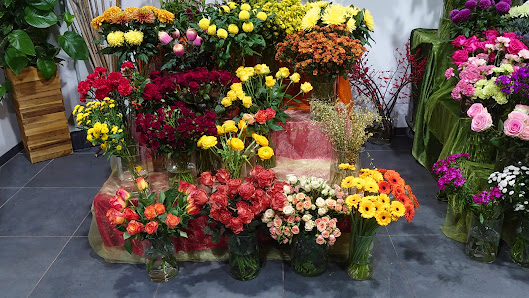 Blumen am Dom