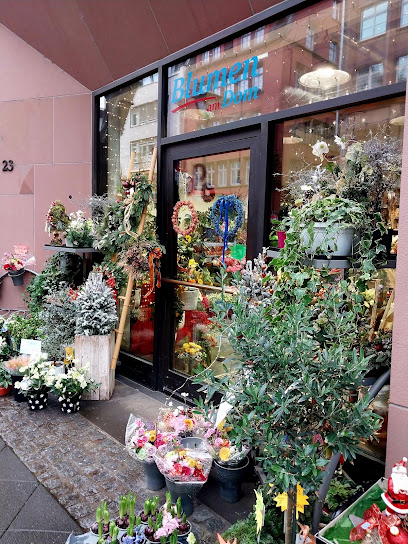 Blumen am Dom
