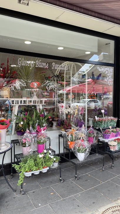 Güney's Blumen Paradies