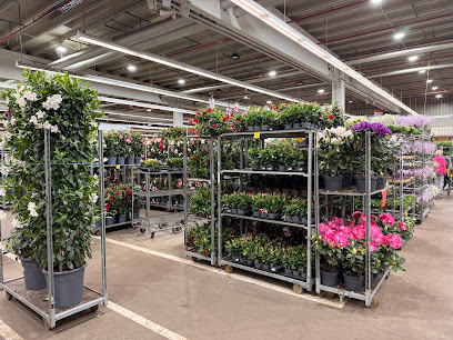BZG Frankfurt (Blumen-und Zierpflanzengroßmarkt)