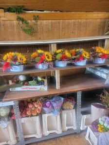 Ezyal Blumen