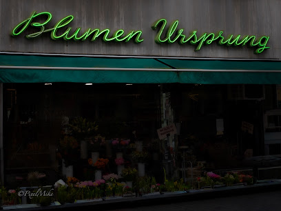Blumen Ursprung
