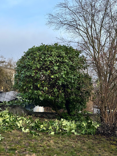 Gartenkollektiv