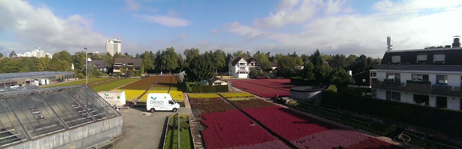 Giersch Gartenbau