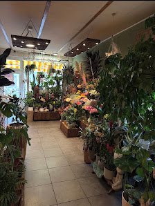 Zauber Blumen