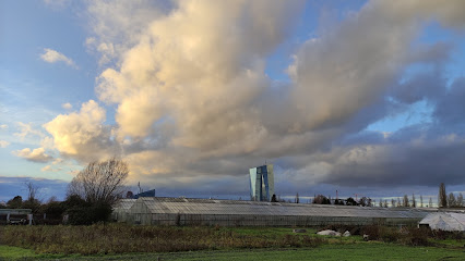 Gärtnerei Jung