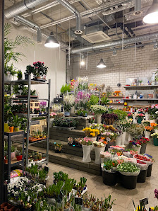 Cutin Blumen