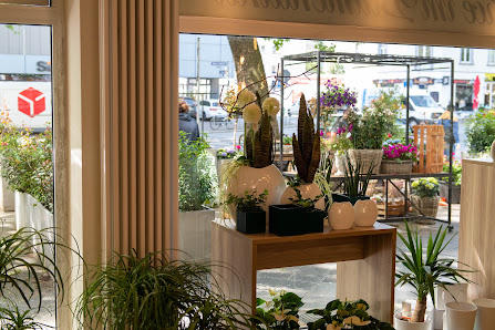 Blumen Meister GmbH - Gallus