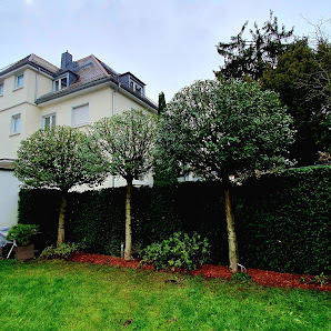 Garten- & Landschaftspflege Willi Möller