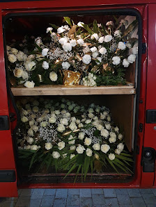 Blumen Sälzer
