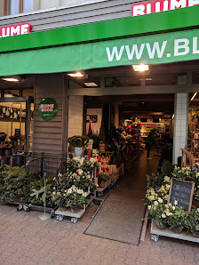 BLUME2000 Frankfurt a. M. Sachsenhausen