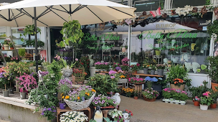 Gartenbauer
