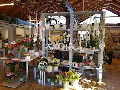 Blumen Quellenberg