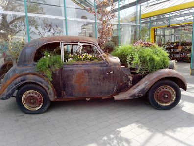 Blumen Müller GmbH