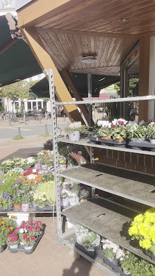 Blumen Pavillion