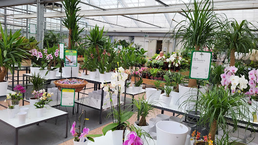 Dehner Garten-Center