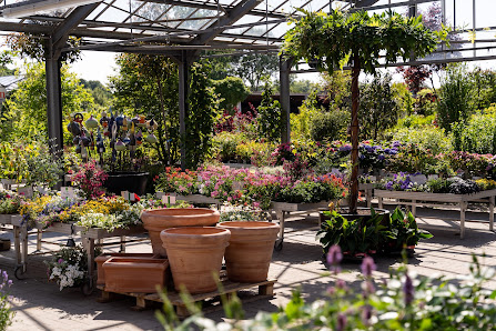 Giesebrecht Garten & Pflanzen