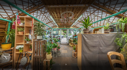 Blumen Nienhaus - Duisburg