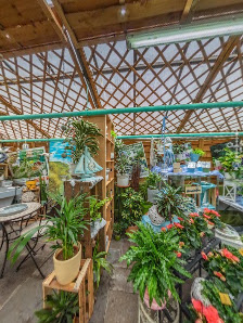Blumen Nienhaus - Duisburg