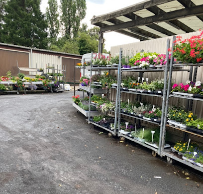 Blumen Gül