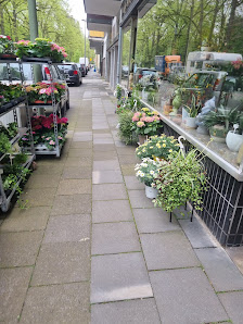 Gerd Grothuysen - Friedhofsgärtnerei & Blumengeschäft - Inh. Neffe Arnold Born