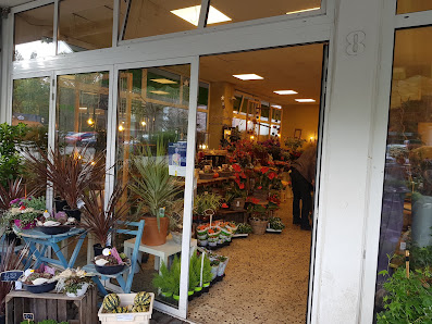 Flora Paradies