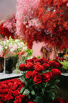 Zinnober Blumen