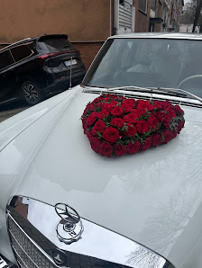 Blumen Gebr. Spangenberg Duisburg