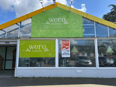 Wero Flowers