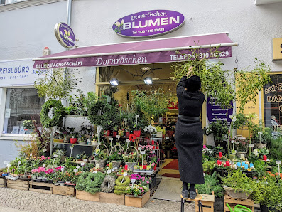 Blumen Dornröschen